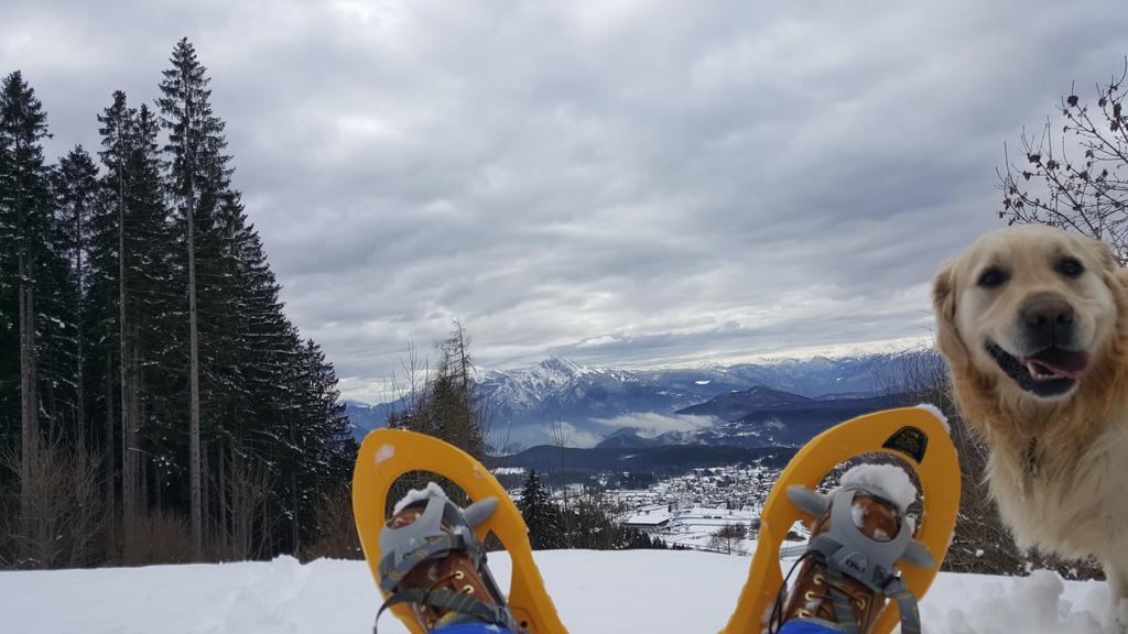 Hotel Olimpic Baselga di Pinè Esterno foto